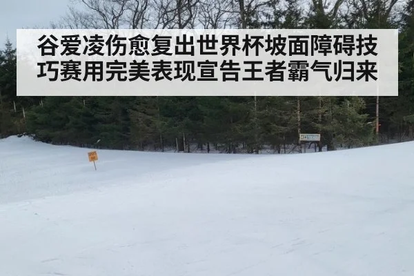 谷爱凌伤愈复出世界杯坡面障碍技巧赛用完美表现宣告王者霸气归来
